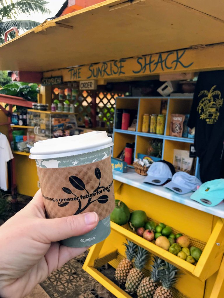 Planning a vacation to Hawaii and want to know the best keto places to eat in Oahu? We have compiled our keto must eats in Hawaii to make keto easy on Vacation. 