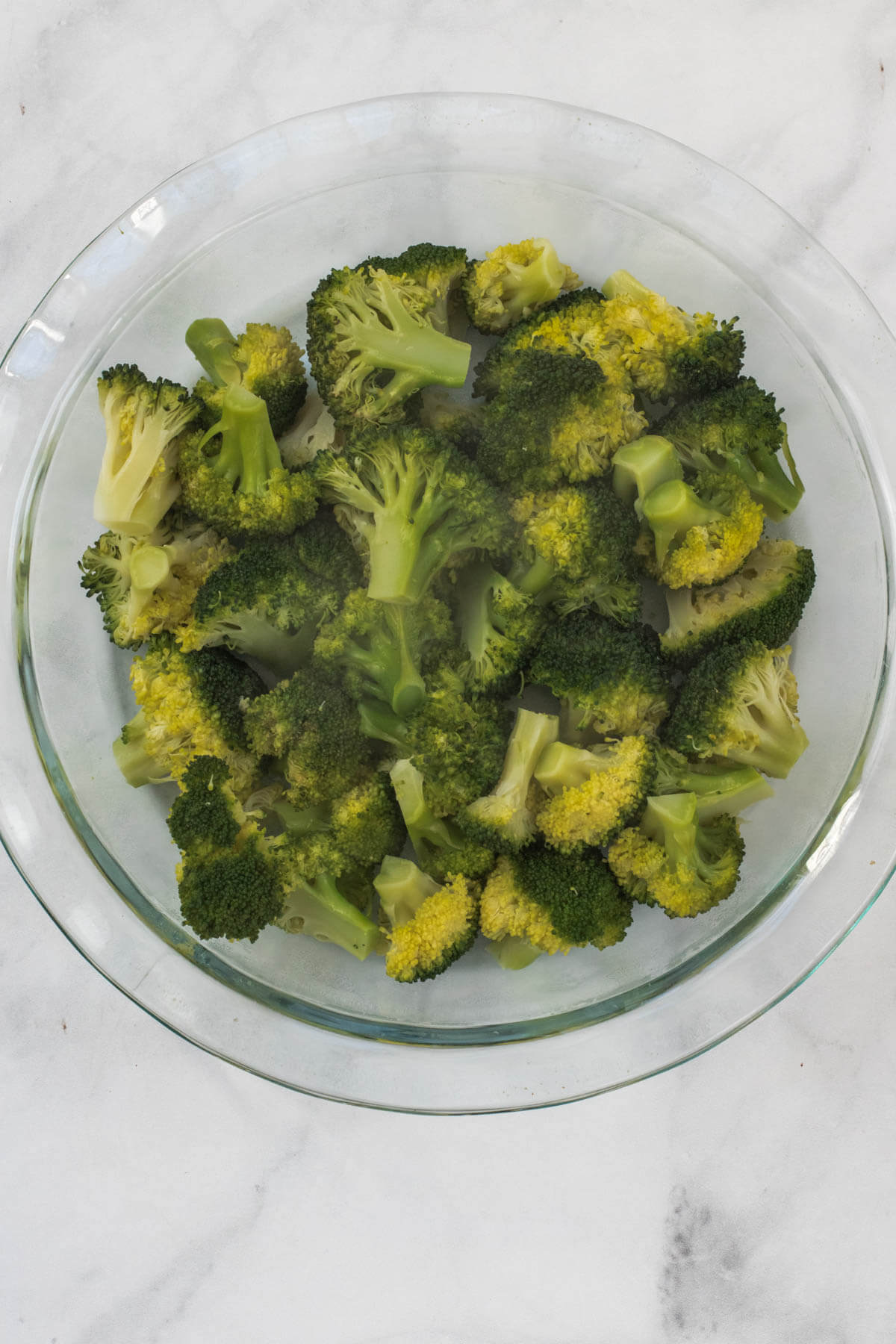Steamed broccoli florets in the base of a baking dish.